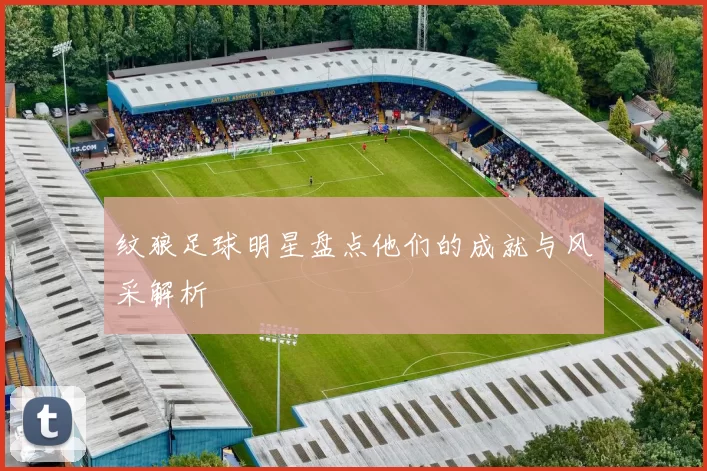 纹狼足球明星盘点他们的成就与风采解析