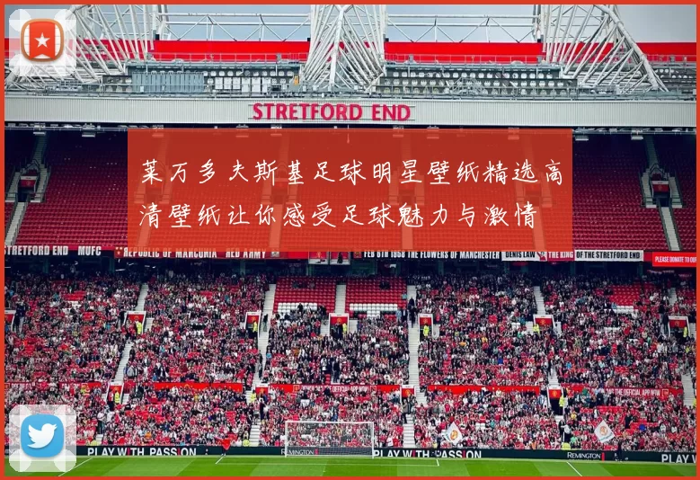 莱万多夫斯基足球明星壁纸精选高清壁纸让你感受足球魅力与激情