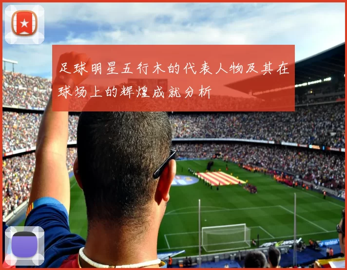 足球明星五行木的代表人物及其在球场上的辉煌成就分析