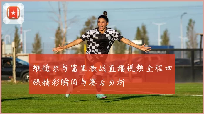 维德尔与富里激战直播视频全程回顾精彩瞬间与赛后分析