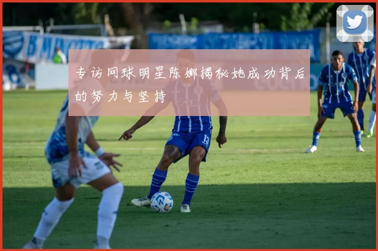 专访网球明星陈娜揭秘她成功背后的努力与坚持