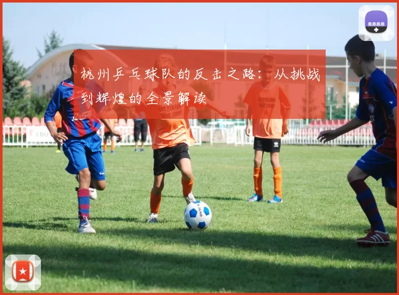 杭州乒乓球队的反击之路：从挑战到辉煌的全景解读