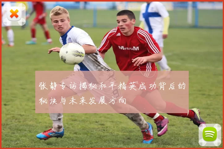 张静专访揭秘和平精英成功背后的秘诀与未来发展方向