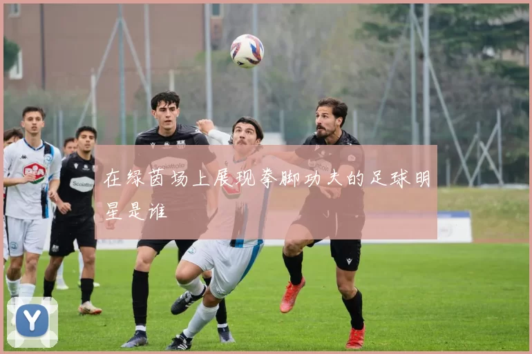 在绿茵场上展现拳脚功夫的足球明星是谁
