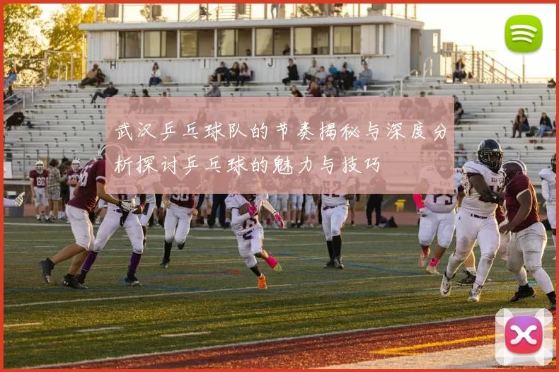 武汉乒乓球队的节奏揭秘与深度分析探讨乒乓球的魅力与技巧