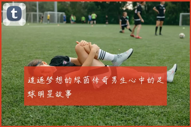 追逐梦想的绿茵传奇男生心中的足球明星故事