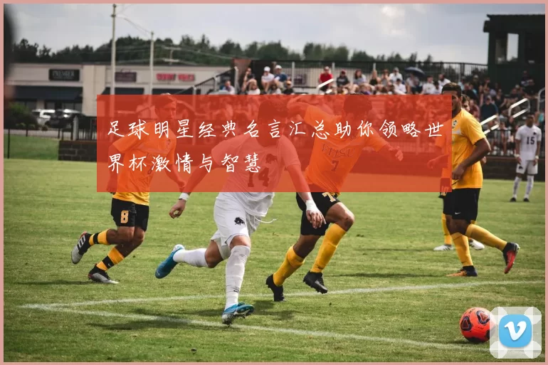 足球明星经典名言汇总助你领略世界杯激情与智慧