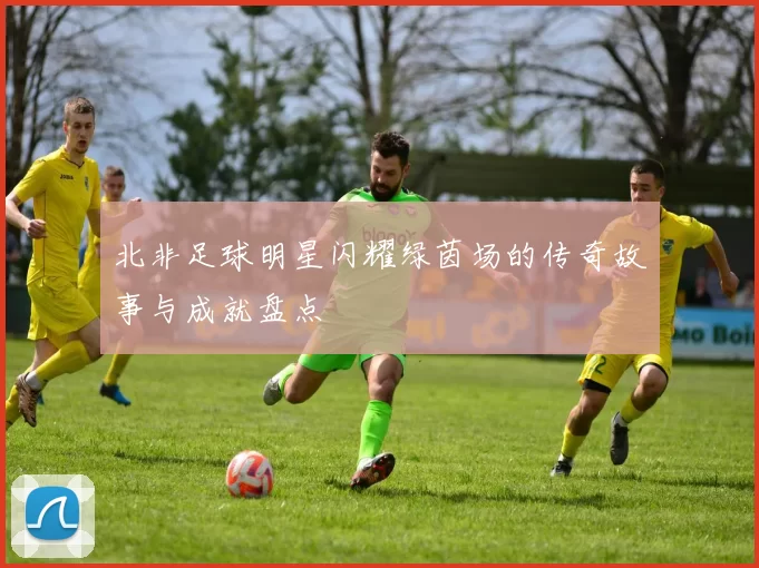北非足球明星闪耀绿茵场的传奇故事与成就盘点