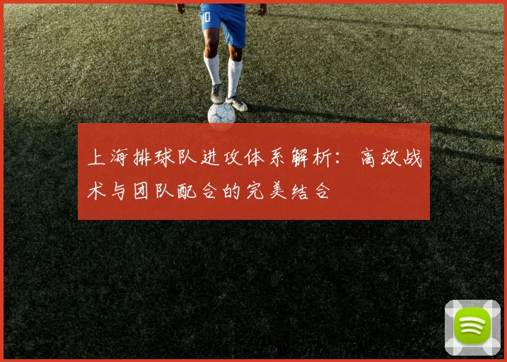 上海排球队进攻体系解析：高效战术与团队配合的完美结合