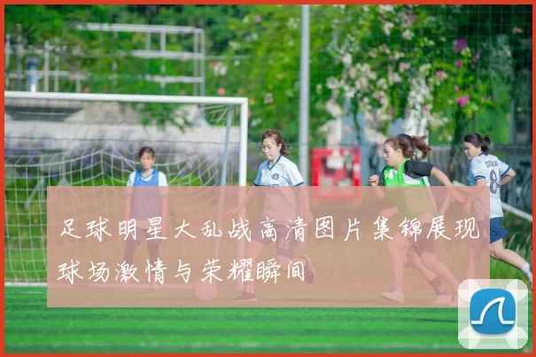 足球明星大乱战高清图片集锦展现球场激情与荣耀瞬间