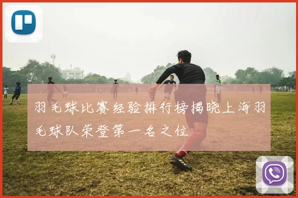 羽毛球比赛经验排行榜揭晓上海羽毛球队荣登第一名之位