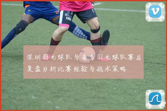 深圳羽毛球队与南京羽毛球队赛后复盘分析比赛经验与战术策略
