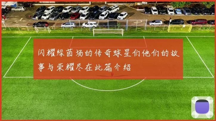 闪耀绿茵场的传奇球星们他们的故事与荣耀尽在此篇介绍