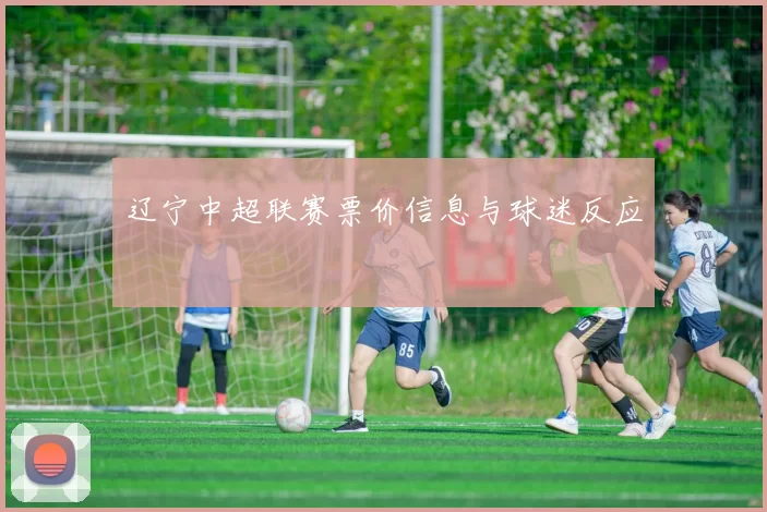 辽宁中超联赛票价信息与球迷反应