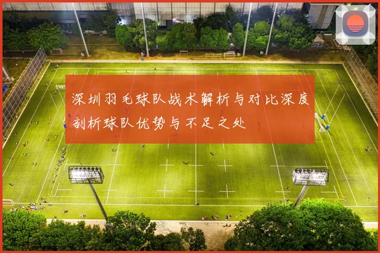 深圳羽毛球队战术解析与对比深度剖析球队优势与不足之处