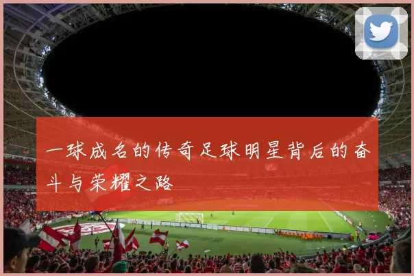 一球成名的传奇足球明星背后的奋斗与荣耀之路