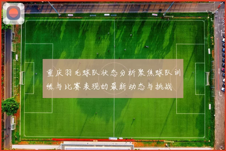 重庆羽毛球队状态分析聚焦球队训练与比赛表现的最新动态与挑战