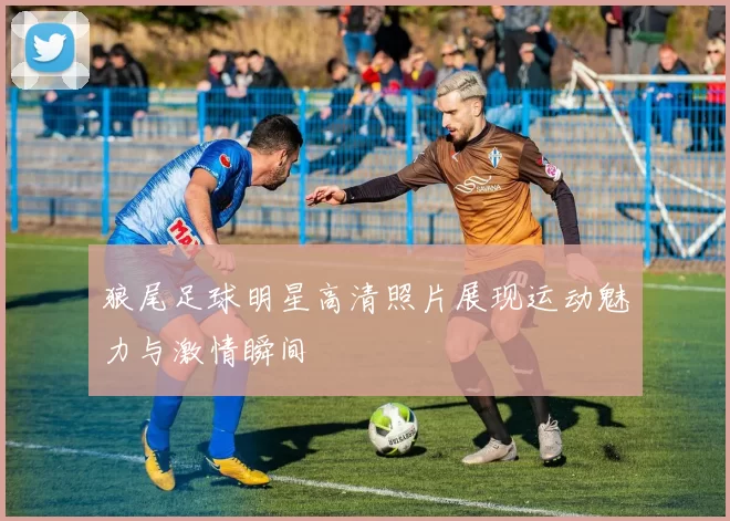 狼尾足球明星高清照片展现运动魅力与激情瞬间