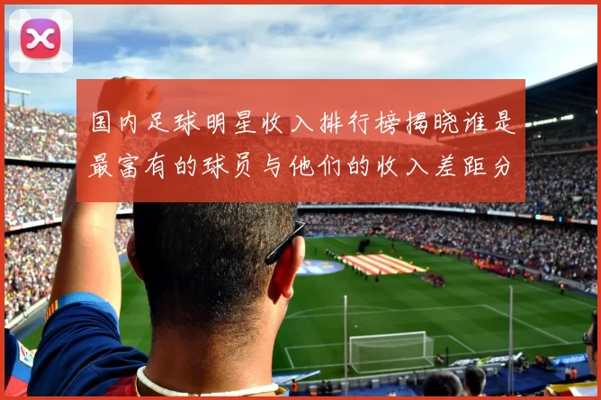 国内足球明星收入排行榜揭晓谁是最富有的球员与他们的收入差距分析