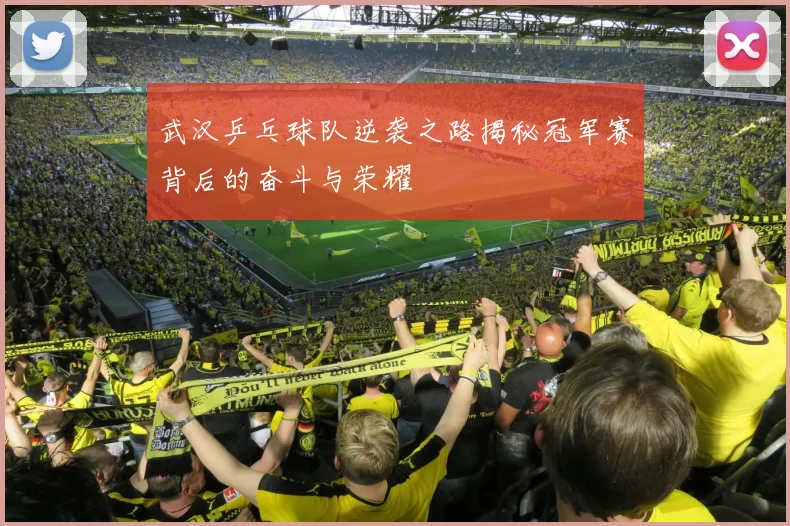 武汉乒乓球队逆袭之路揭秘冠军赛背后的奋斗与荣耀