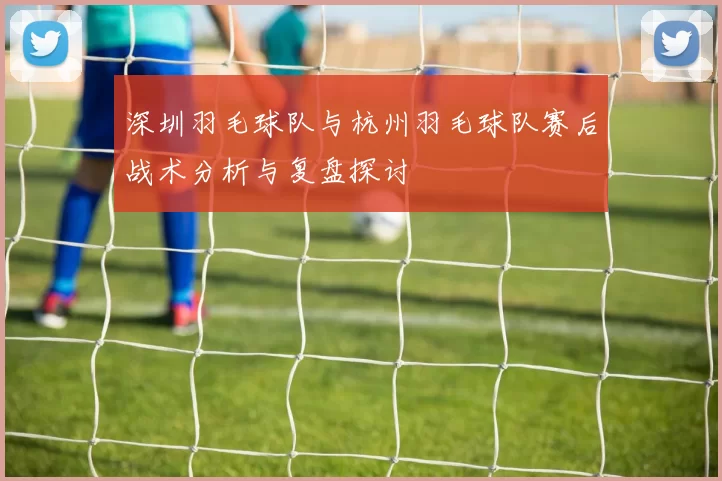 深圳羽毛球队与杭州羽毛球队赛后战术分析与复盘探讨