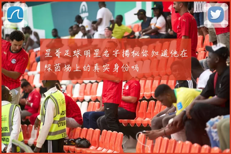 星哥足球明星名字揭秘你知道他在绿茵场上的真实身份吗