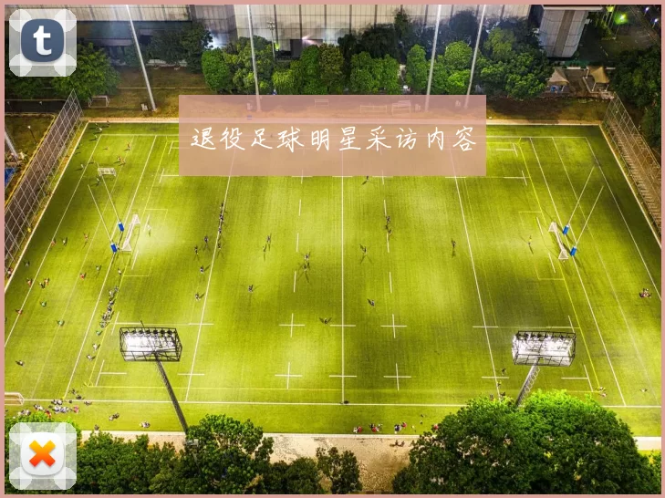 退役足球明星采访内容