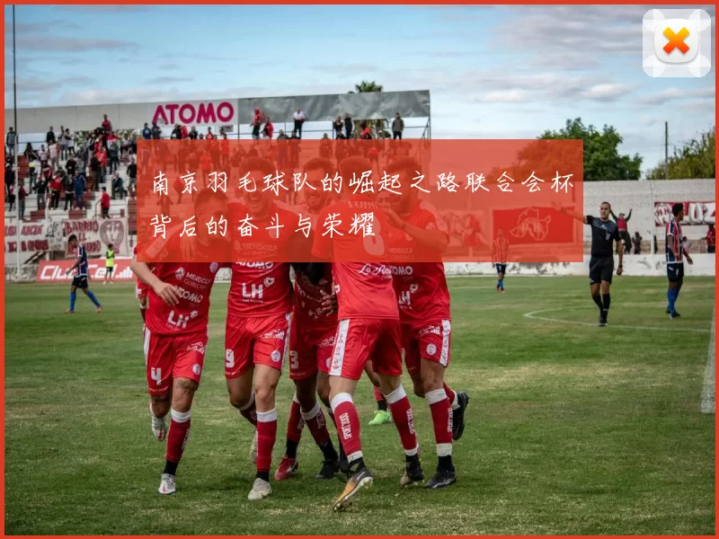 南京羽毛球队的崛起之路联合会杯背后的奋斗与荣耀