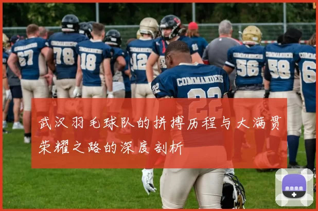 武汉羽毛球队的拼搏历程与大满贯荣耀之路的深度剖析