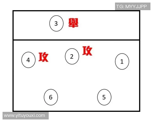 北京排球队精英赛表现分析团队配合与战术执行的关键因素