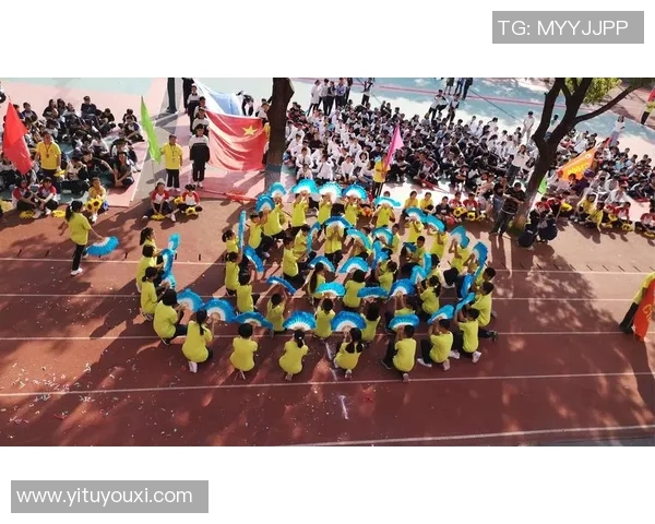 专访张芳：探寻排球背后的成功秘诀与奋斗历程