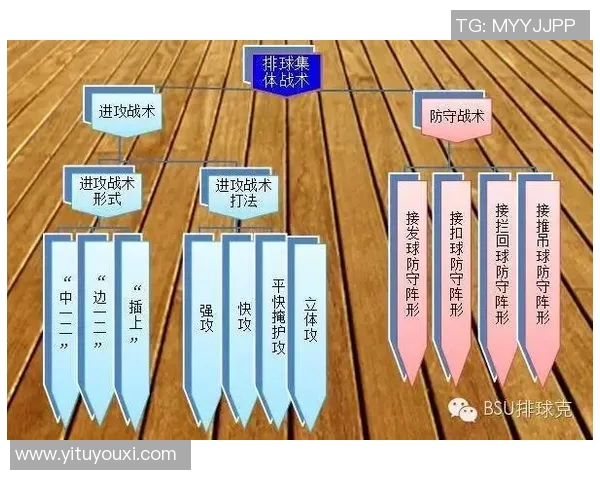 西安排球队整体压制战术解析与实战应用探讨