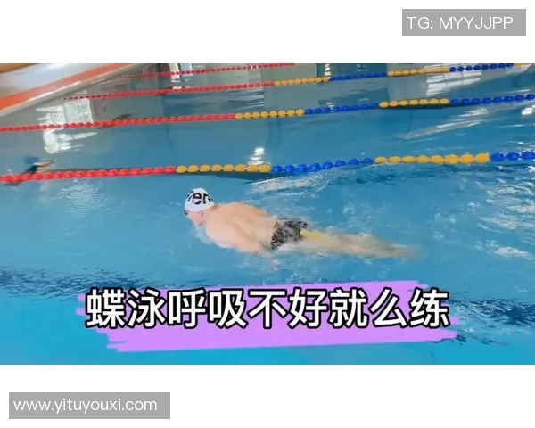 蝶泳动作解析与技巧提升 从起跳到转身的全程训练指南